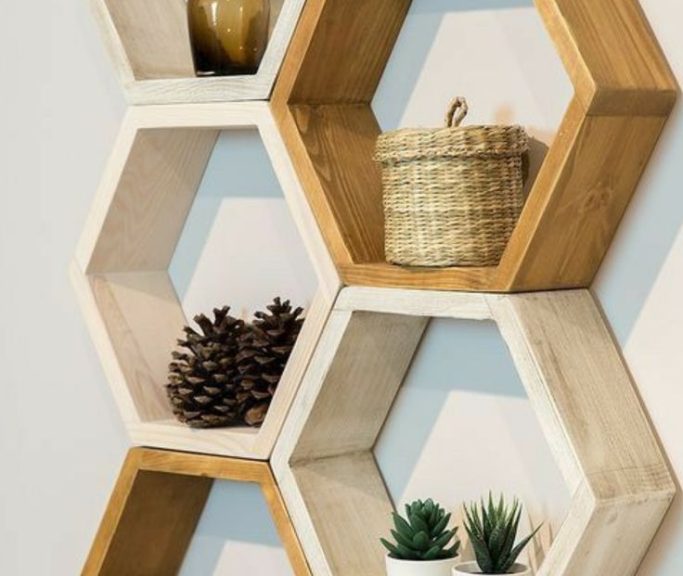 WhatsApp Image 2026-01-19 at 11.29.48 AM (1)