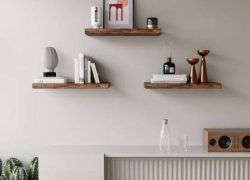 WhatsApp Image 2026-01-19 at 12.00.07 PM